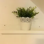 Mini Flat Wifi *