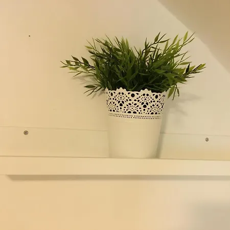 Mini Flat Wifi *